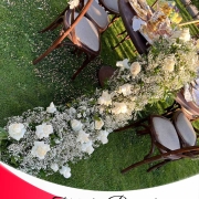 محوطه باغ تشریفات عروسی