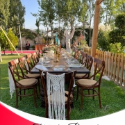 میز آرایی تشریفات عروسی